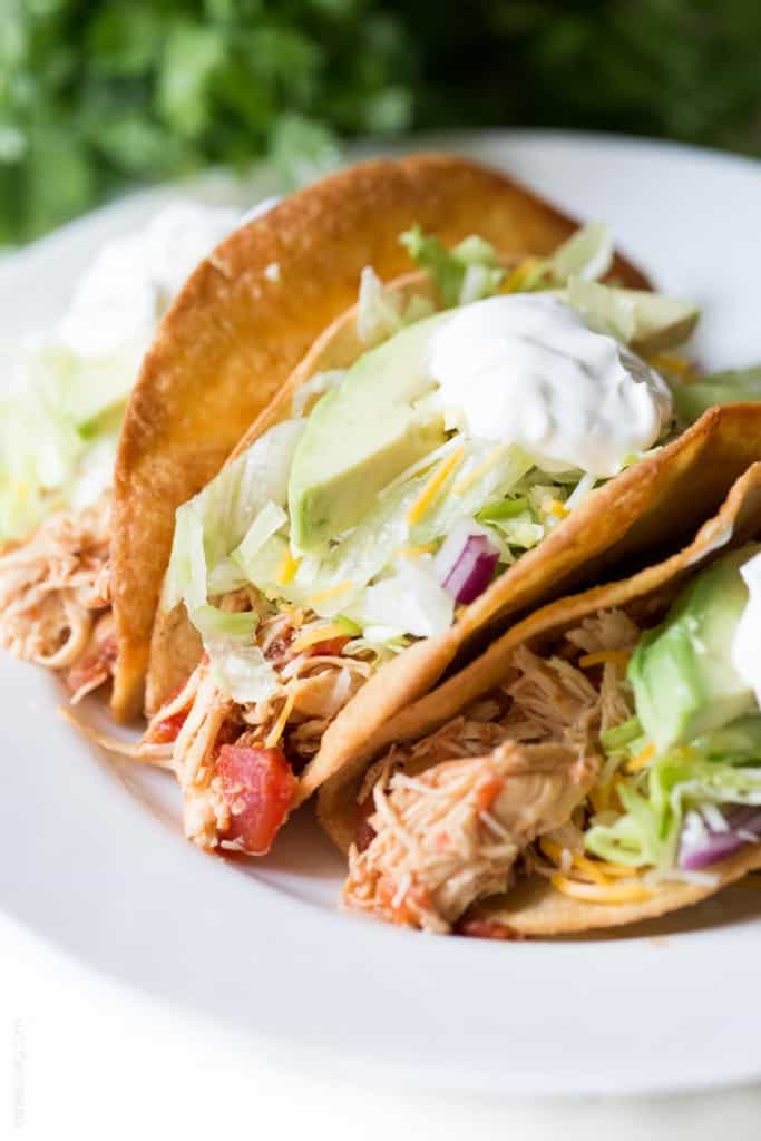 Slow Cooker Mexican Shredded Chicken Tacos — Tastes Lovely