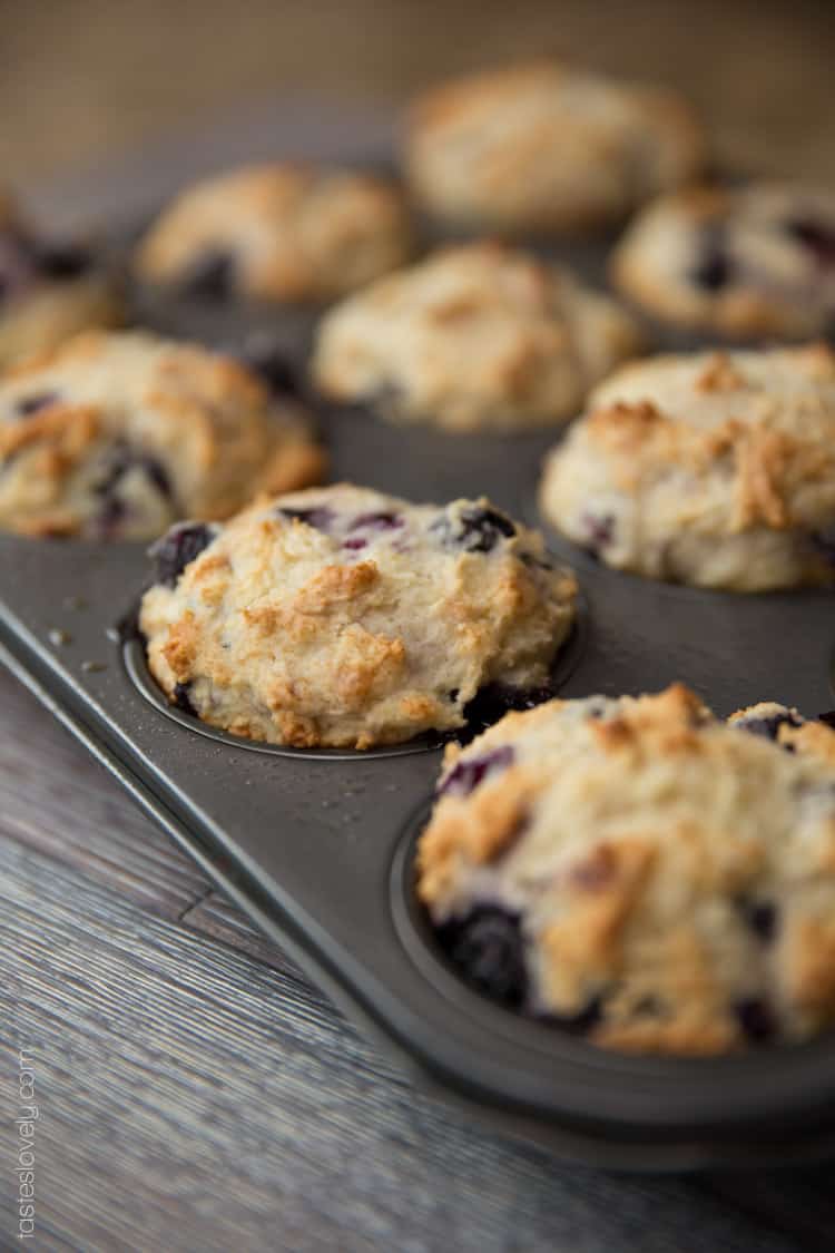 Ultra moist blueberry muffins made with greek yogurt