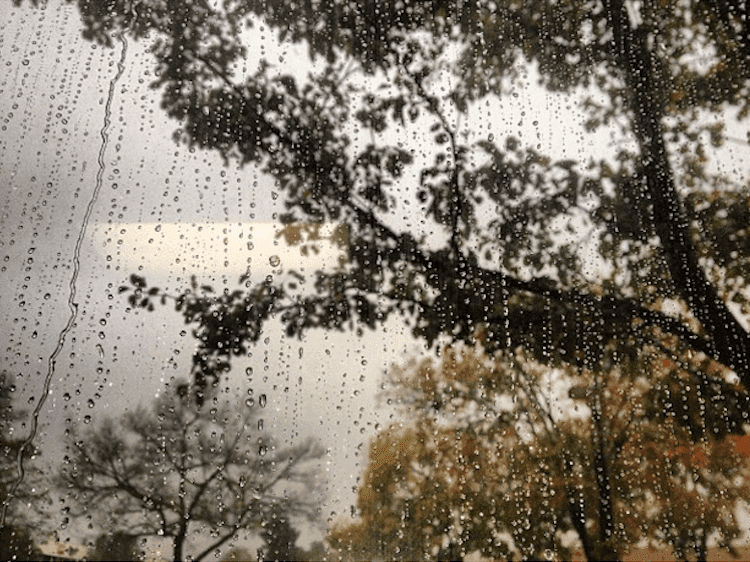 Rainy Window