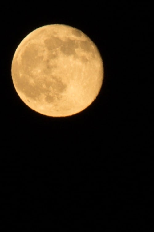 Yellow Moon