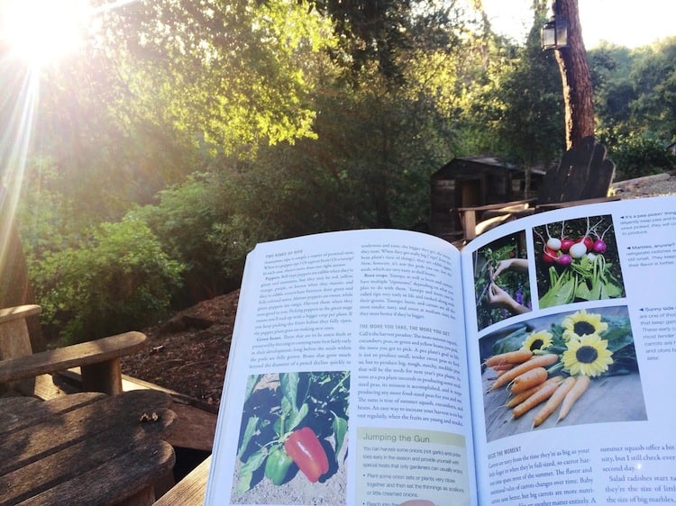 Reading about Gardening