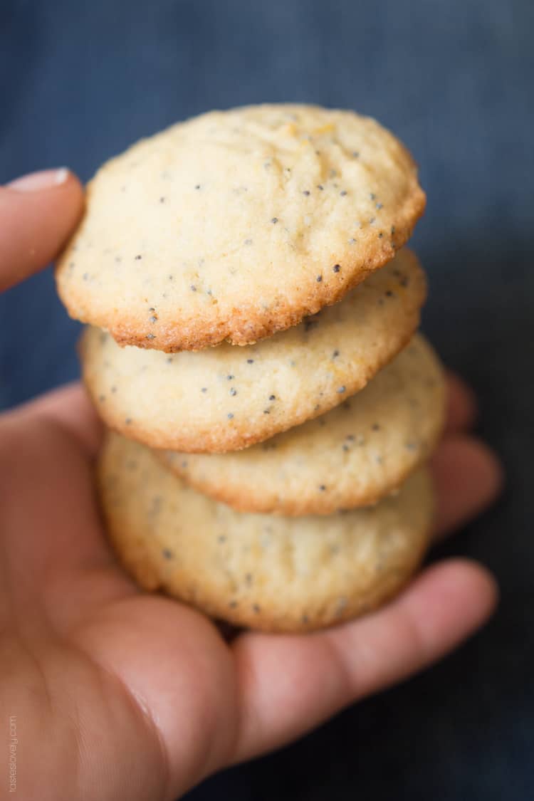 Lemon Poppy Seed Cookies, a light and lemony sweet treat!