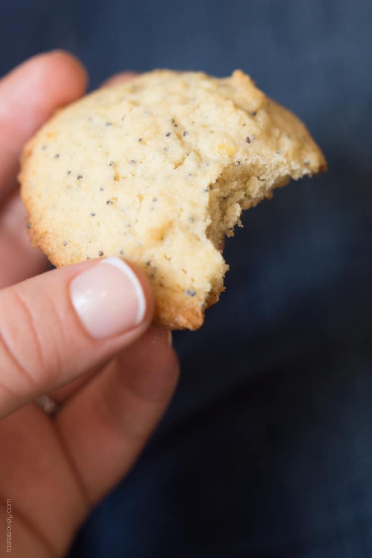 Lemon Poppy Seed Cookies, a light and lemony sweet treat!