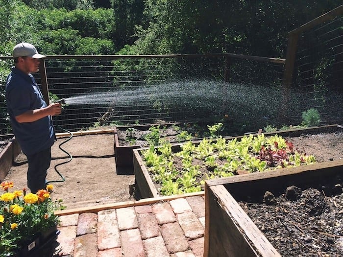 Shawn Watering Our Garden