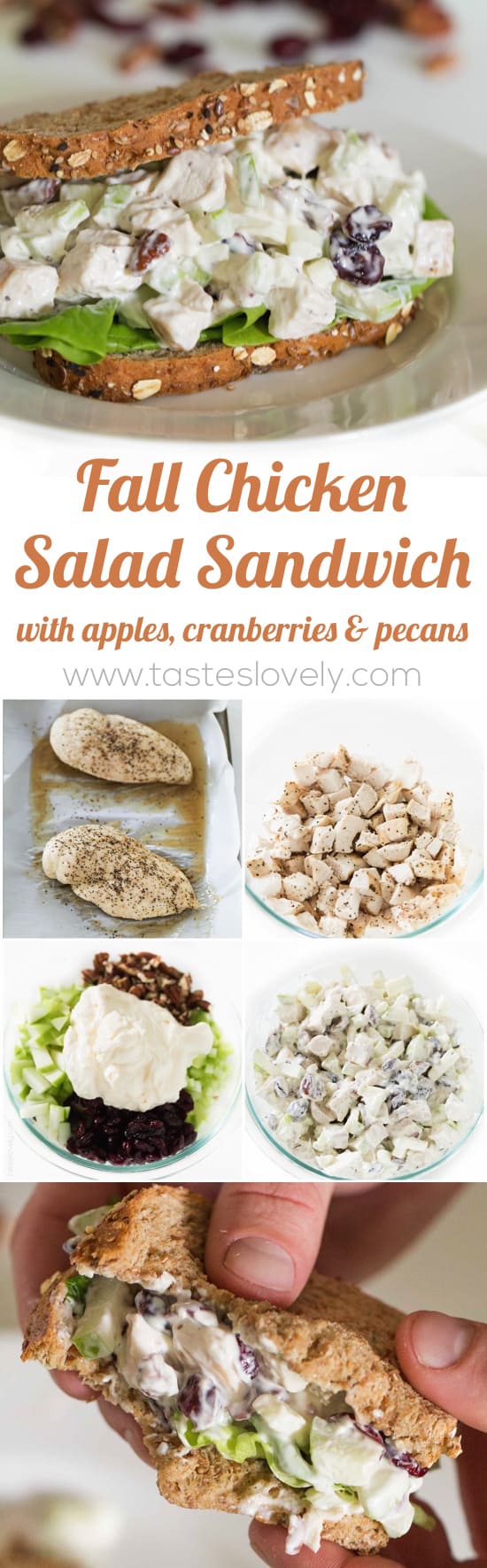 Fall Chicken Salad with tart Granny Smith apples, sweet dried cranberries, and crunchy toasted pecans. Serve it as a sandwich on soft whole wheat bread or in lettuce as a lettuce wrap. Perfect autumn lunch!