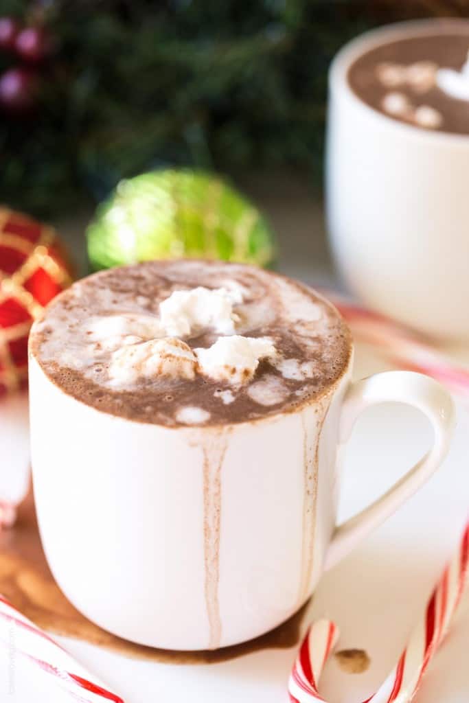 Dairy Free Hot Chocolate with Coconut Whipped Cream (Paleo, Vegan, Gluten Free)