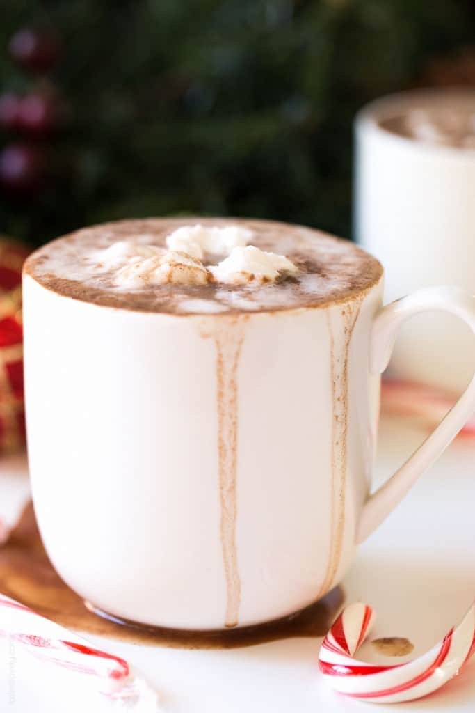 Dairy Free Hot Chocolate with Coconut Whipped Cream (Paleo, Vegan, Gluten Free)