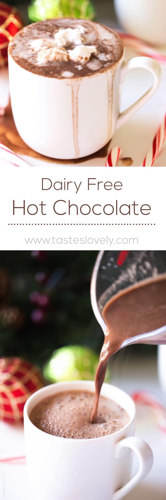 Dairy Free Hot Chocolate with Coconut Whipped Cream (Paleo, Vegan, Gluten Free)