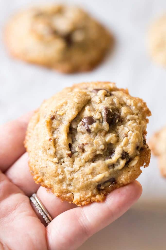 Dairy Free Lactation Cookies made with Coconut Oil. Delicious, and increases your milk supply when breastfeeding!