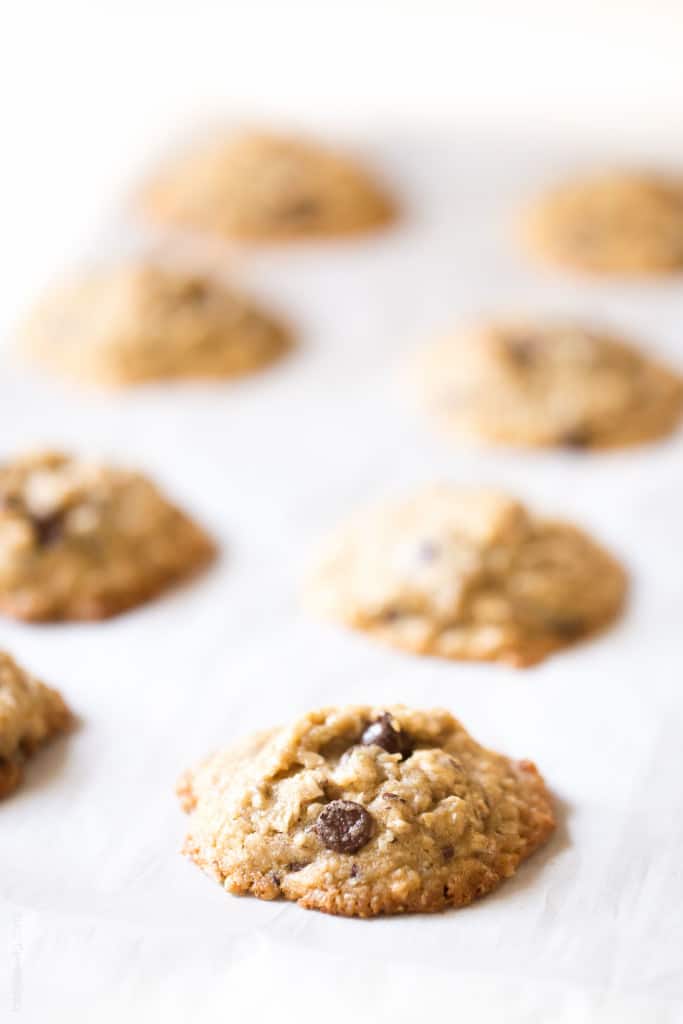 Dairy Free Lactation Cookies made with Coconut Oil. Delicious, and increases your milk supply when breastfeeding!