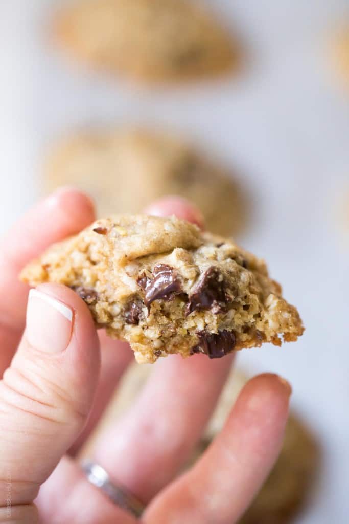 Dairy Free Lactation Cookies made with Coconut Oil. Delicious, and increases your milk supply when breastfeeding!