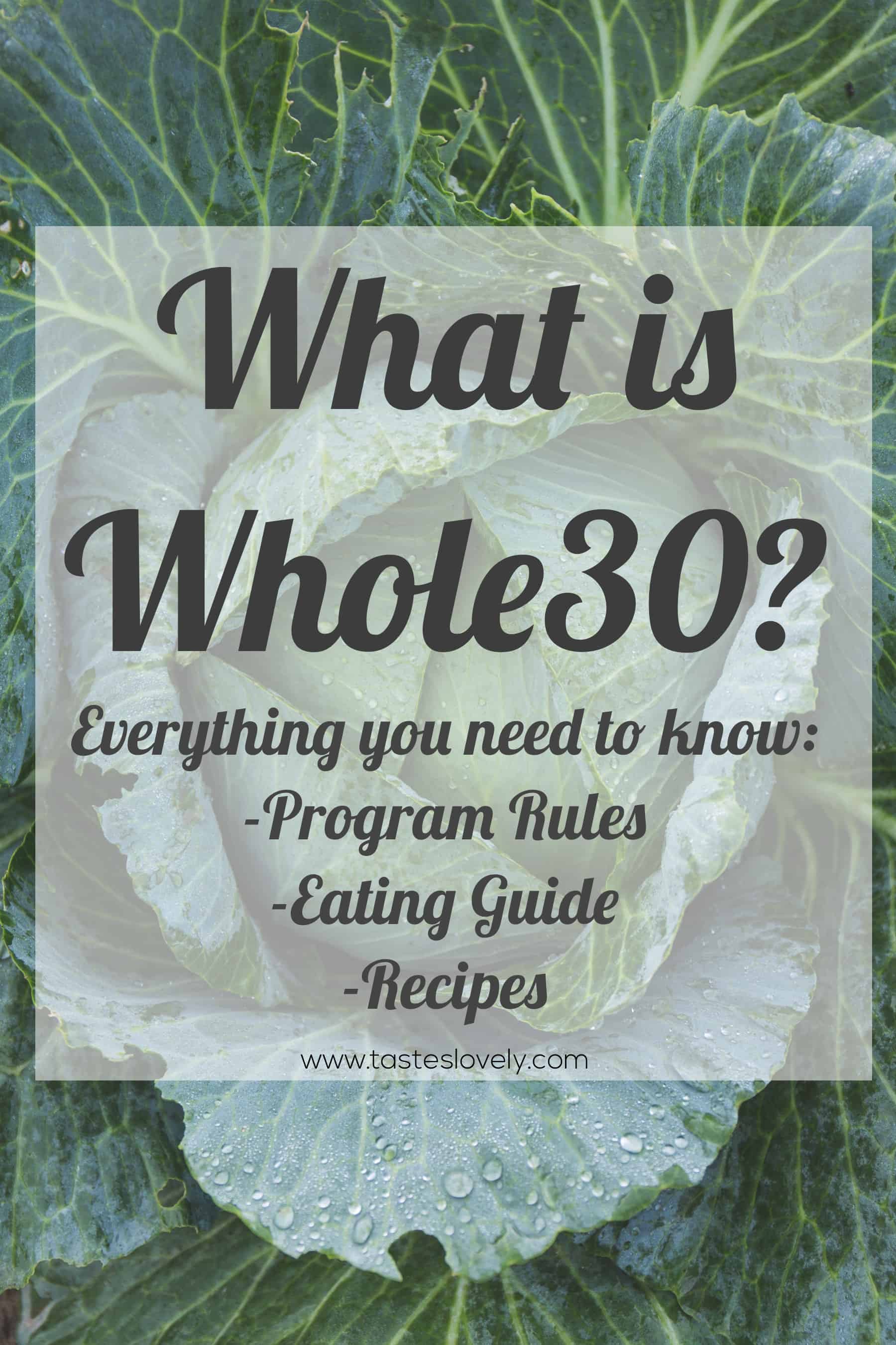 Everything you need to know about the Whole30 diet, including a printable food shopping guide and recipes to get you through your Whole30! #whole30 #whole30diet