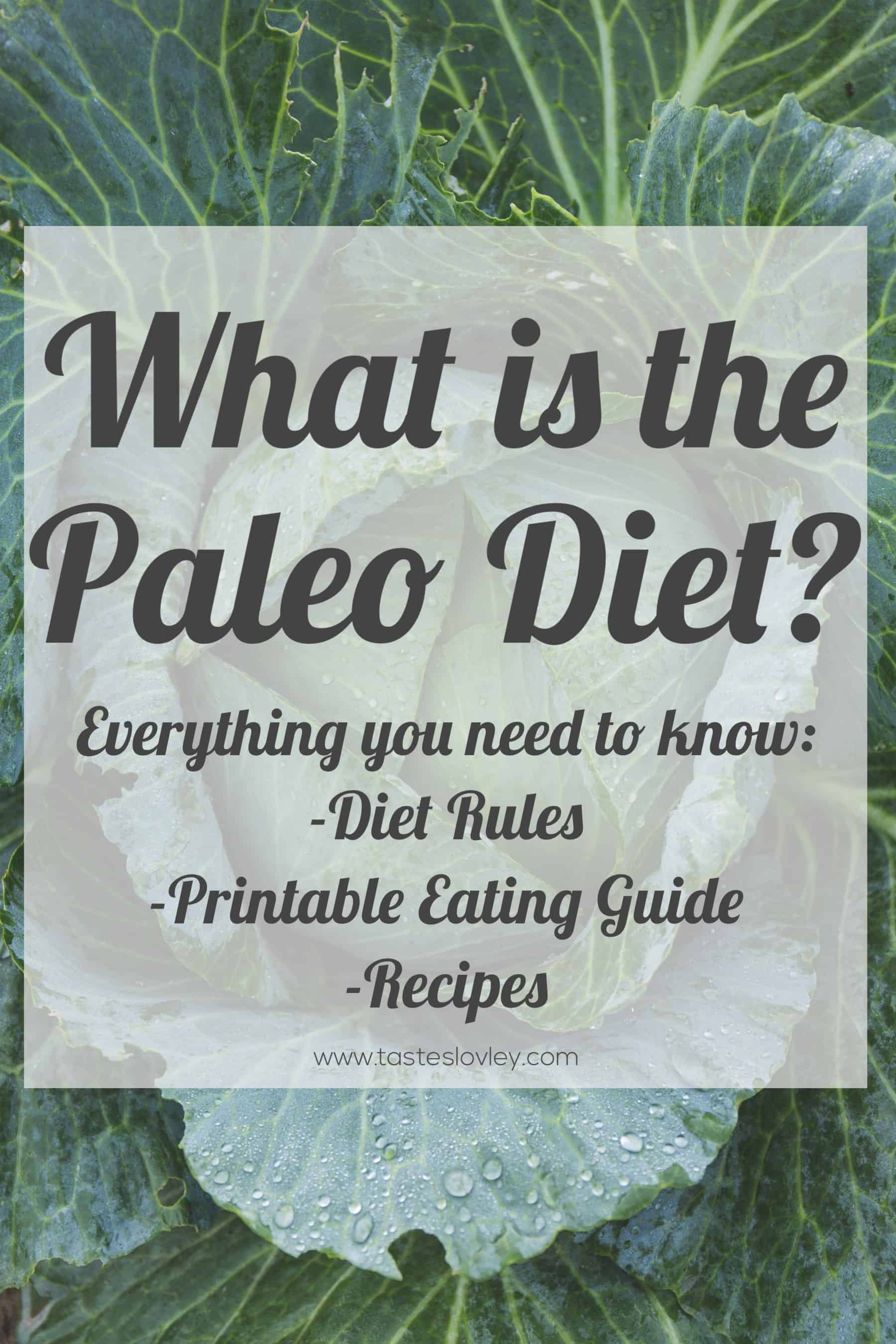 What is the Paleo Diet? Everything you need to know including program rules, printable eating guides and free recipes!