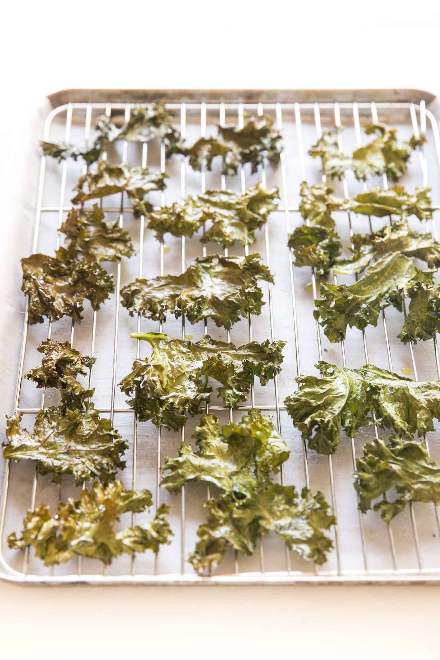 crispy baked kale chips on a rimmed baking sheet