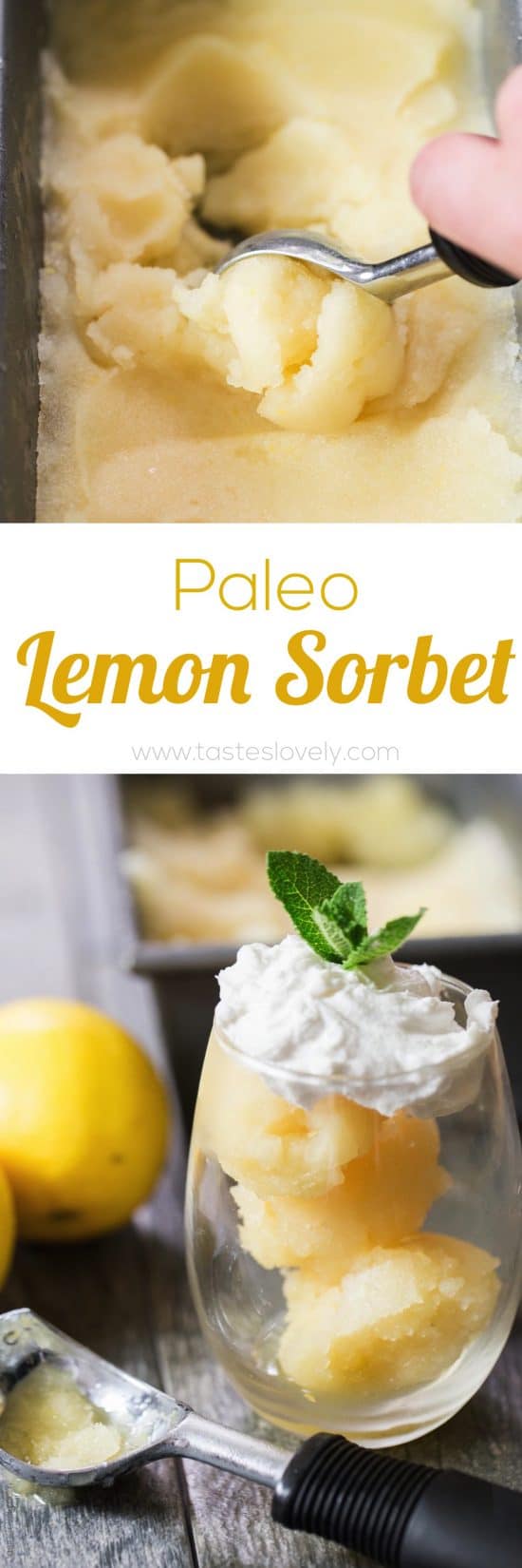 Paleo Lemon Sorbet - a sweet and tart dessert that is just 3 ingredients! Can be made with or without an ice cream maker (paleo, vegan, gluten free, dairy free, refined sugar free)