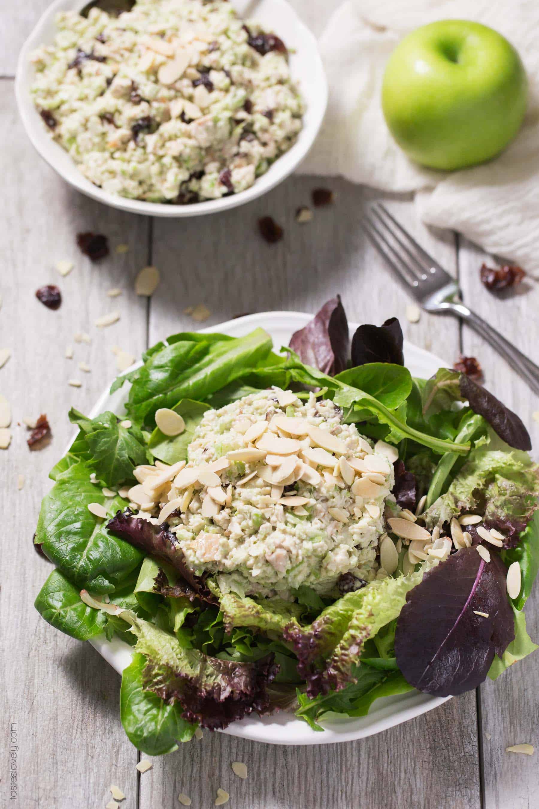 Green Apple & Cranberry Chicken Salad - a healthy make ahead lunch! Whole30, paleo, gluten free, dairy free, sugar free.