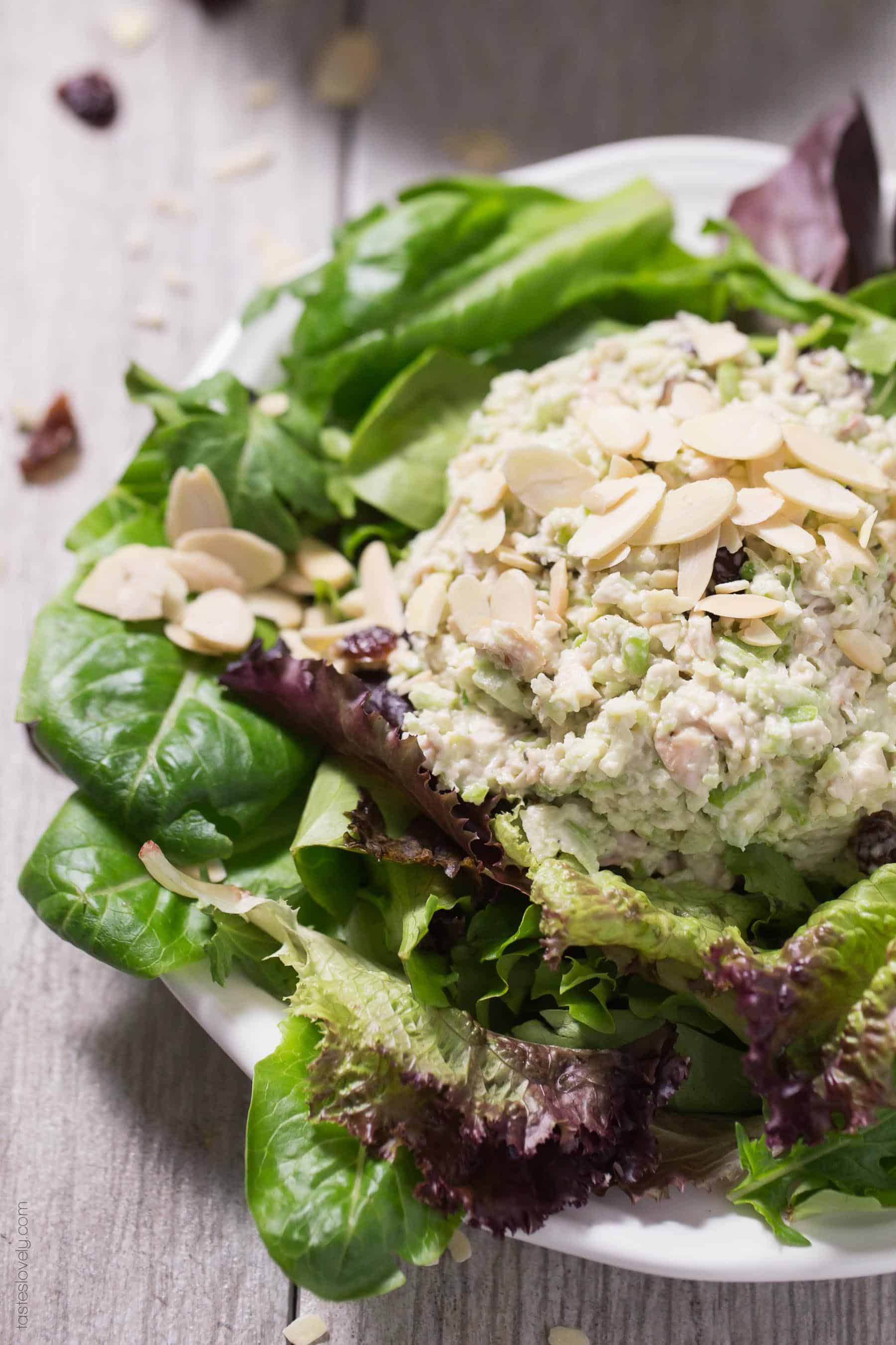 Green Apple & Cranberry Chicken Salad - a healthy make ahead lunch! Whole30, paleo, gluten free, dairy free, sugar free.