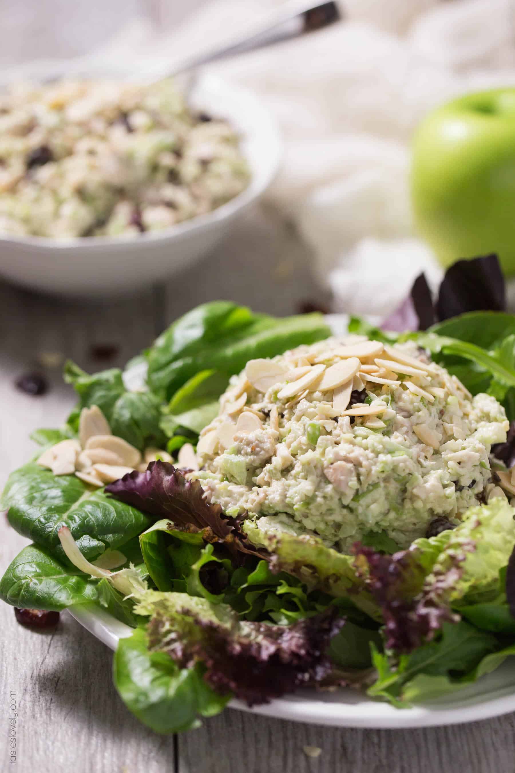 Green Apple & Cranberry Chicken Salad - a healthy make ahead lunch! Whole30, paleo, gluten free, dairy free, sugar free.